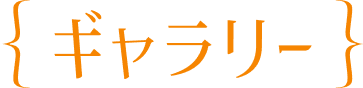 ギャラリー